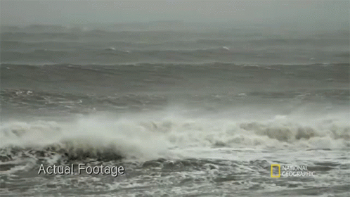 Storm Seagrass And The Ecosystem GIF - Storm Seagrass And The Ecosystem Waves Crashing GIFs