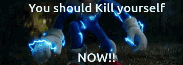 a picture of sonic the hedgehog with a caption that says you should kill yourself now