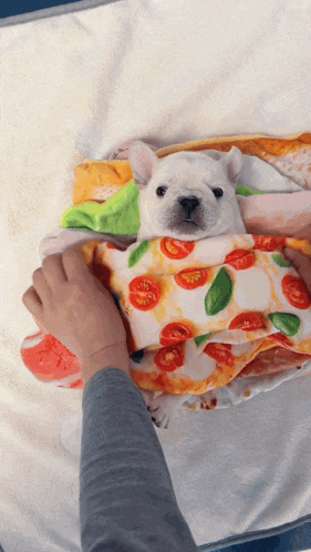 a dog is wrapped in a blanket that looks like a pizza