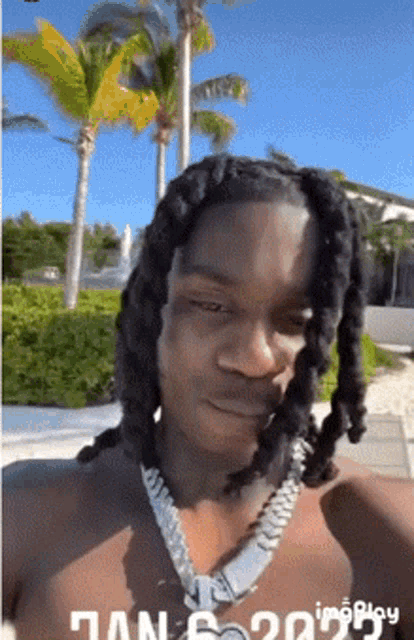 a shirtless man with dreadlocks and a chain around his neck is standing in front of a palm tree .