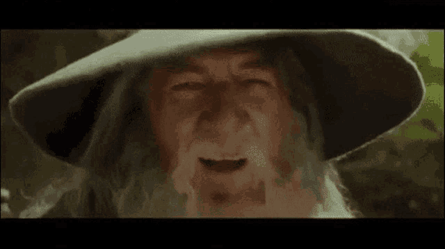 Gandalf The Party Wizard GIF - Gandalf The Party Wizard Nod GIFs