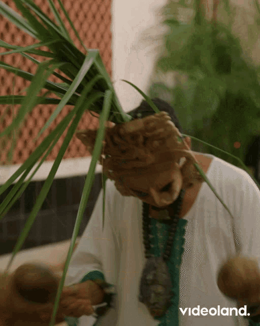 a person holding a plant with videoland written on the bottom