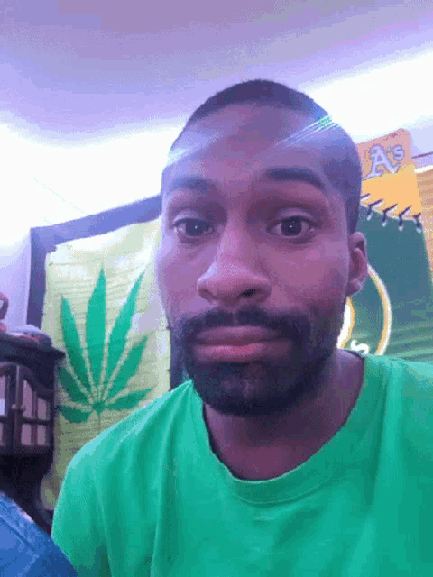 a man in a green shirt stands in front of a marijuana leaf