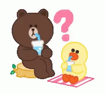 Bear Drinking GIF - Bear Drinking Water GIFs
