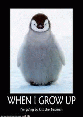 Penguin Memes GIF - Penguin Memes GIFs
