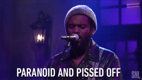 Paranoid And Pissed Off Mood GIF - Paranoid And Pissed Off Mood Feelings GIFs