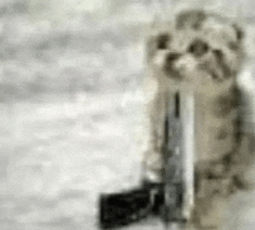 a cat is holding a gun in front of it .