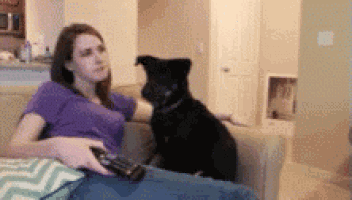 a woman is sitting on a couch with a black dog looking at her