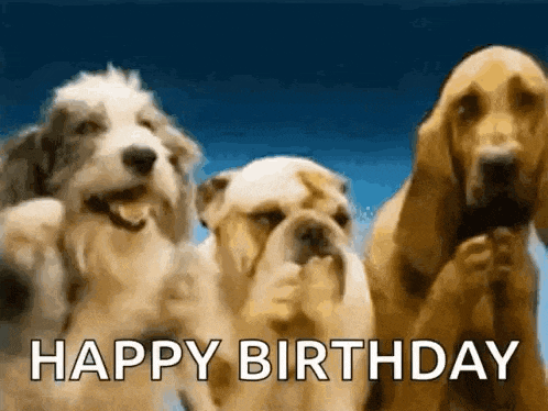 a group of dogs standing next to each other with the words `` happy birthday '' written in the middle .