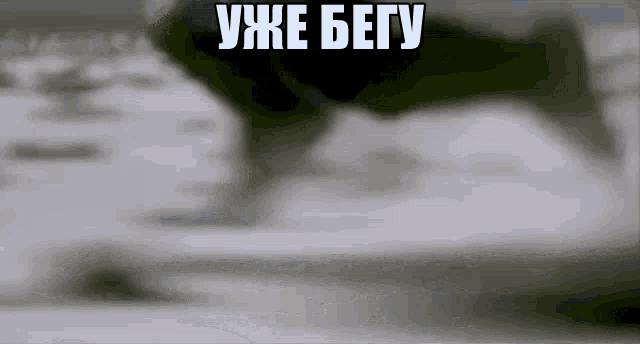 a black and white photo of a cat with the words уже бегу written in white letters .