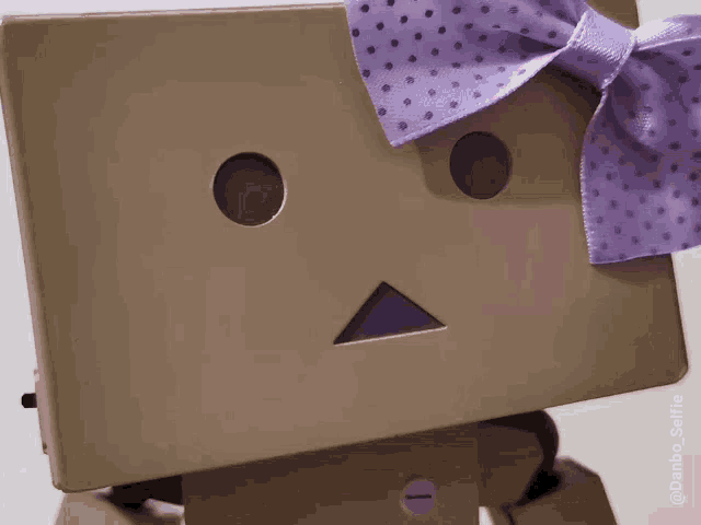 a cardboard box with a purple polka dot bow