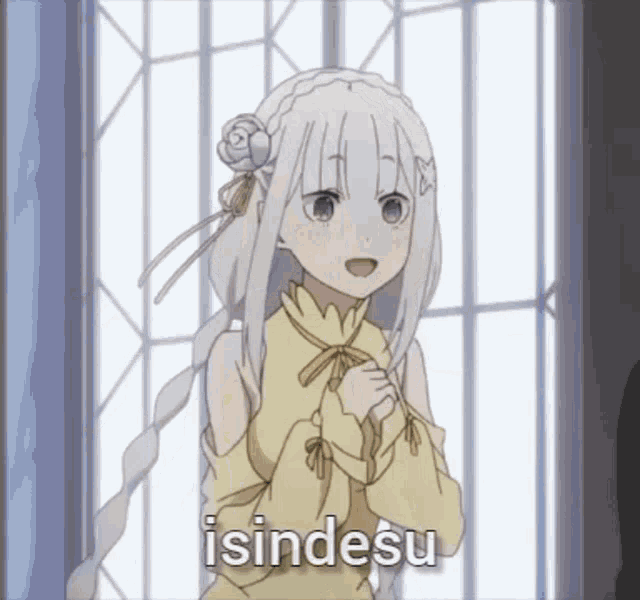 a girl with white hair is standing in front of a window and the word isindesu is on the bottom