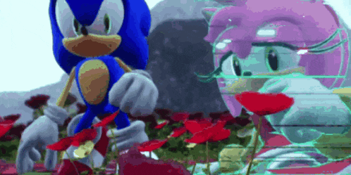 sonic and amy are standing next to each other in a field of red flowers .