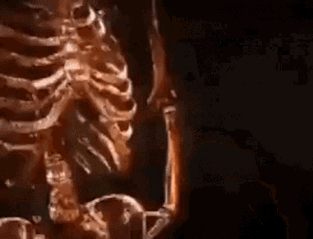 a close up of a skeleton with the words `` the terminator wins '' written on it .