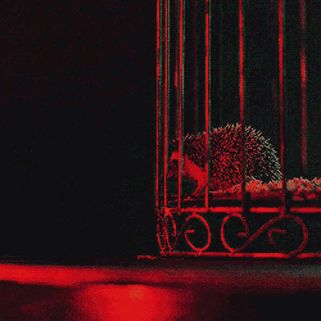 Red Cage GIF - Red Cage Hedge GIFs