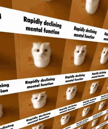 Cat Bounce GIF - Cat Bounce Rapidly Declining Mental Function GIFs