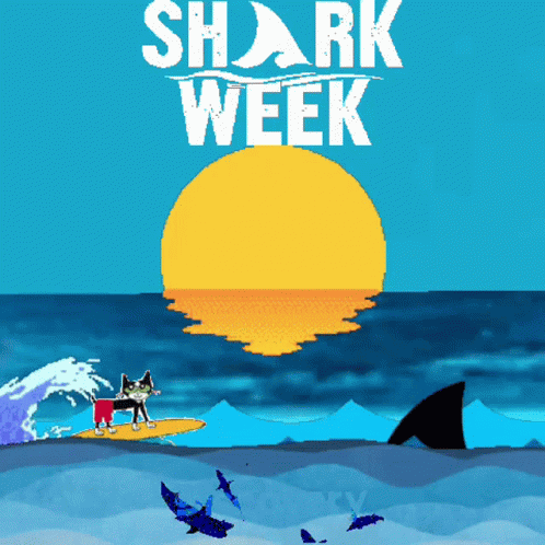 Sharkweek Discovery GIF - Sharkweek Discovery Tv GIFs