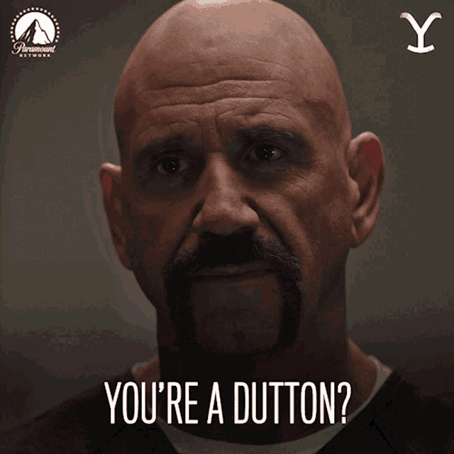 Youre A Dutton Terrell Riggins GIF - Youre A Dutton Terrell Riggins Yellowstone GIFs
