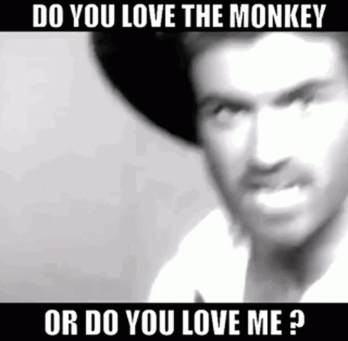 George Michael Monkey GIF