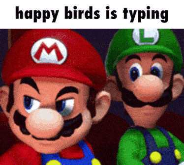 mario and luigi are standing next to each other with a caption that says happy birds is typing