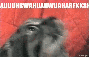 a close up of a person 's face with the words " auuuhrwahhuahwuarfkksh " on the bottom right