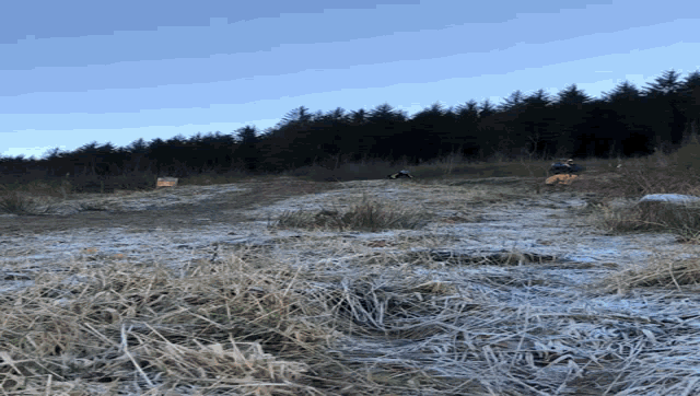 a person is standing in the middle of a snowy field