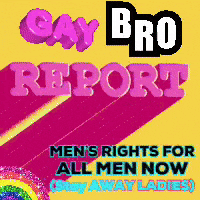 a poster that says gay bro report on it
