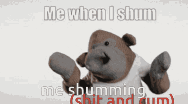 Shit Shum GIF - Shit Shum Shumming GIFs