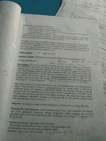 a bunch of papers are stacked on top of each other on a blue table .