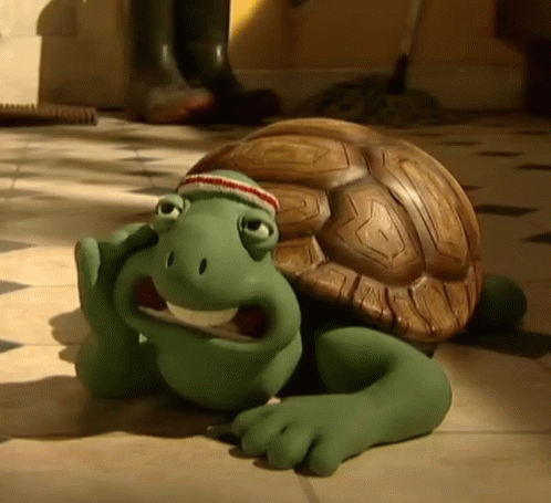 Turtle Thinking GIF - Turtle Thinking What Am I Going To Do GIFs