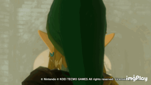 Age Of Calamity Link GIF - Age Of Calamity Link Zelda GIFs
