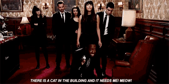 a group of people standing in a room with a caption that says there is a cat in the building and it needs me