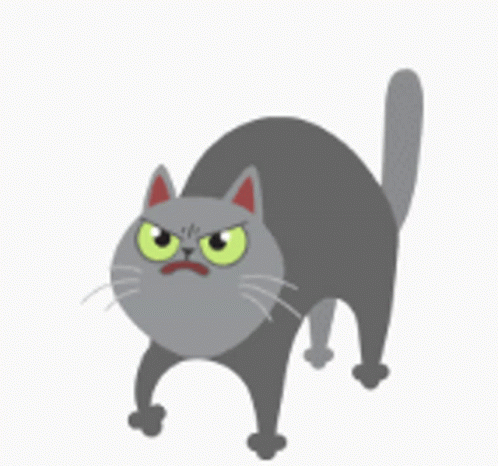 Cat Angry GIF - Cat Angry Pisses GIFs
