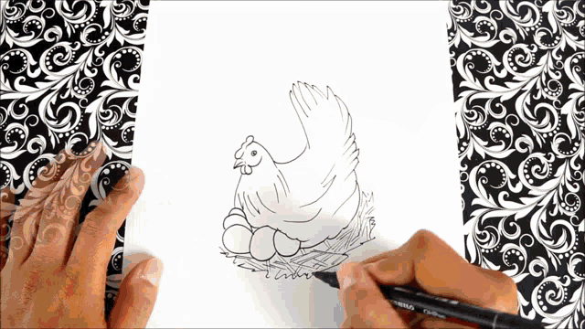 a person is drawing a chicken and eggs with a zebra marker