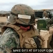 Military Turtle GIF - Military Army Turtle GIFs