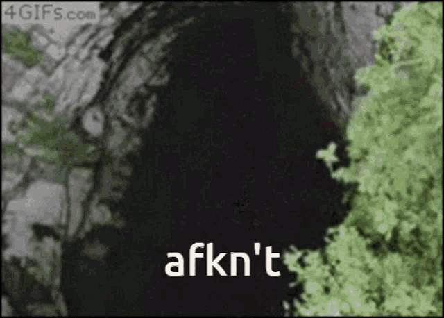 Afk Not Not Afk GIF - Afk Not Not Afk Back GIFs