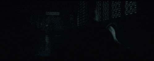 a person holding a spear in a field at night