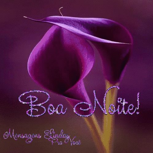 a purple flower with the words boa noite written above it