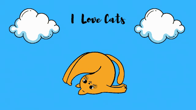 a cat laying on its back with the words i love cats written above it