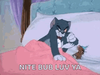 Tom And Jerry Sharing GIF - Tom And Jerry Sharing Blanket GIFs