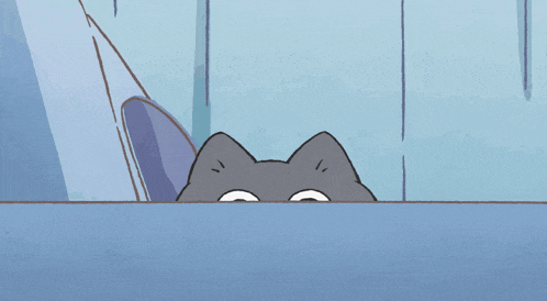 a cat with a surprised look on his face