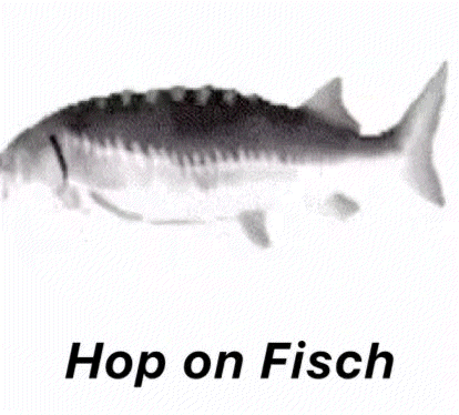 a black and white photo of a fish with the words `` hop on fisch '' written under it .