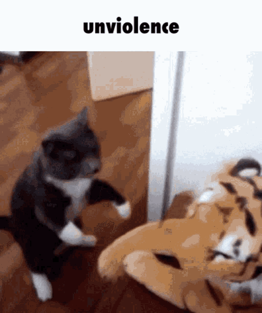 Cat Unviolence GIF - Cat Unviolence Punch GIFs