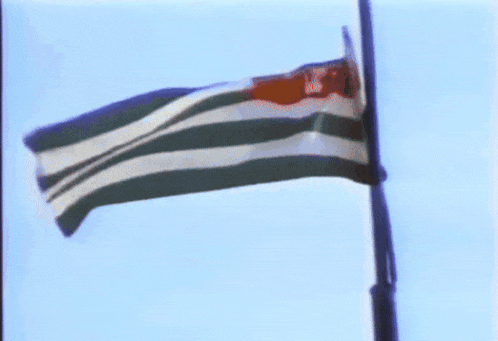 a green white and red flag with the letter y on it is flying in the wind