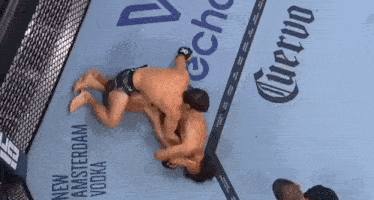 two men are wrestling in a ring with an advertisement for new amsterdam vodka in the background