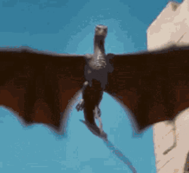 Game Of Thrones Whats Up GIF - Game Of Thrones Whats Up Burn GIFs