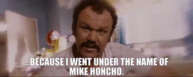 a man with a mustache says because i went under the name of mike honcho .