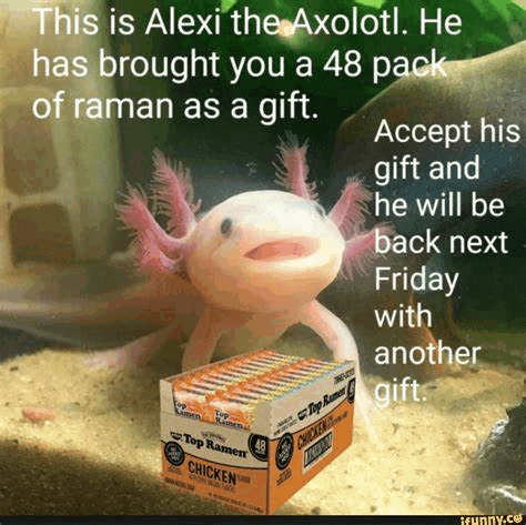 an axolotl standing next to a box of top ramen chicken noodles .