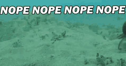 an octopus is swimming in the ocean with the words `` nope nope nope nope '' .