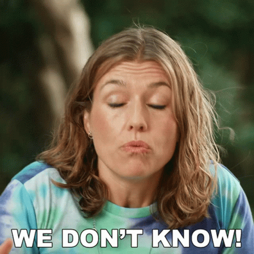 We Dont Know Julie Stoffer GIF - We Dont Know Julie Stoffer The Real World Homecoming New Orleans GIFs